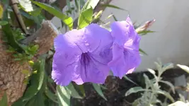 DSCF0407.webp