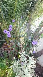 DSCF1543.webp