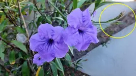 DSCF1509-2.webp