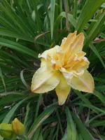 DSCN2855.webp