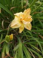 DSCN2856.webp