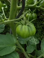 DSCN2884.jpg