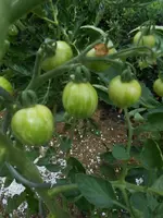 DSCN2880.webp