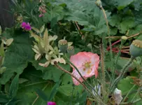 IMG_20150712_171148.webp
