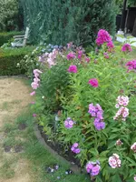 DSCN2858.webp