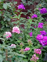 IMG_5502.webp