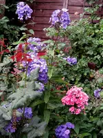 IMG_5503.webp