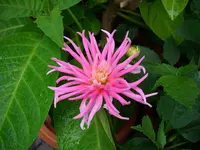DSCI3579.webp