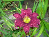 DSCI3578.webp