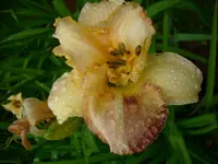 DSCI3574.webp