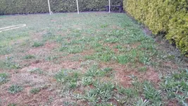 20150713_205107.webp
