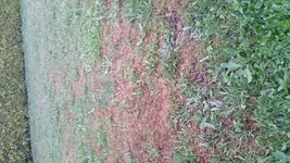 20150713_205039.webp