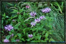 comp_DSC04138.webp