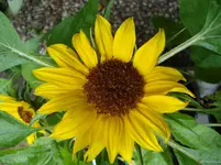 DSC04435.webp