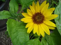 DSC04436.webp