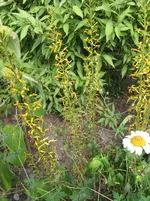 015.webp