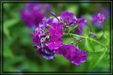 comp_DSC04132.webp