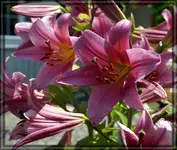 comp_DSC09620.webp