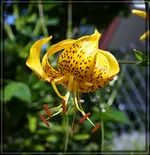 comp_DSC09603.webp