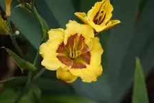 DSC03297.webp