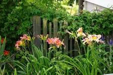 DSC03318.webp