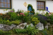 DSC03330.webp