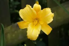 No Name (2).webp