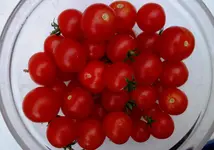 red (43).webp