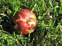 2015_04_24J&B (67)v.webp