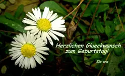 Geburtstag.webp