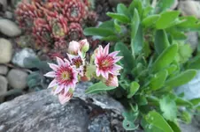 DSCF1921.webp