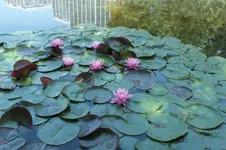 DSCF2101.webp