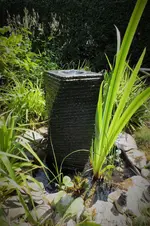 DSCF1931 (2).webp