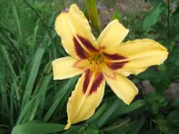 003.webp