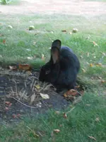 DSCN2908.webp