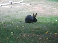 DSCN2900.webp