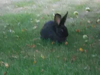 DSCN2899.webp