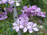 P1460880.webp