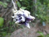 P1460888.webp