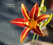IMG_2051.webp