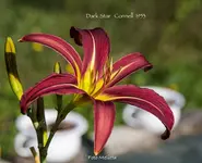 IMG_2056.webp