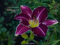 IMG_2096.webp