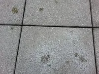 teakoelflecken.webp