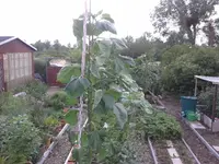 20150714_130752.webp