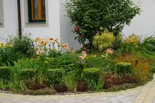 Vorgarten.webp