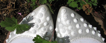 Heidischuhe.webp
