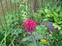IMG_4293.webp