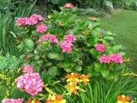 IMG_4291.webp