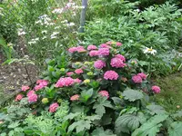 IMG_4292.webp