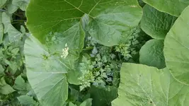 20150714_210139.jpg